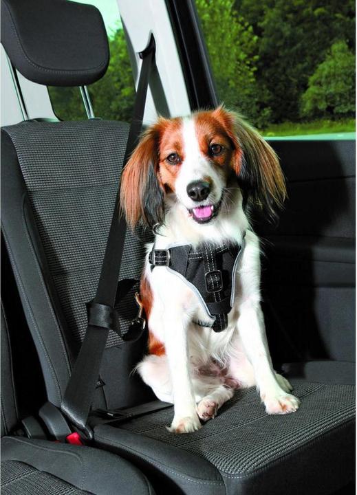 Image du produit Trixie Harnais de protection pour la voiture (Chien, Réflecteurs, Pliable)