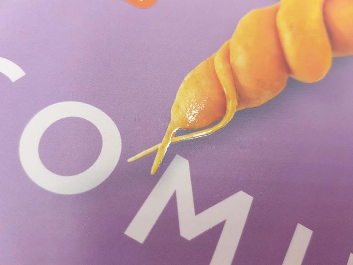 Actual product image Keep It Coming (German, Dania Schiftan, 2021)