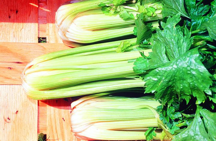 Actual product image Zollinger Bio Celery, White (Vegetable seeds)
