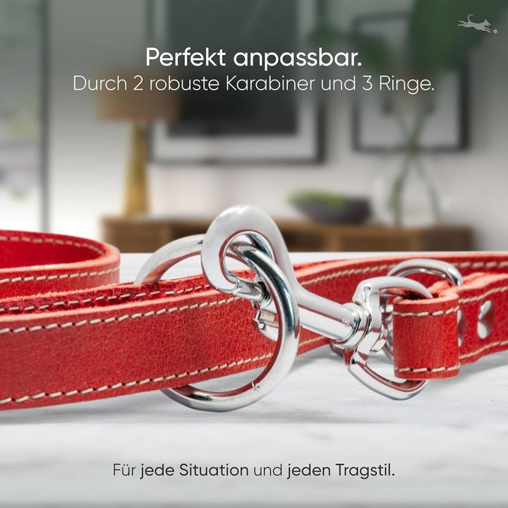 Produktbild Freudentier Verstellbare Hundeleine Amstelpark mit Leinensäckchen (Hund)