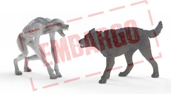 Schleich Werewolf vs. Animagus