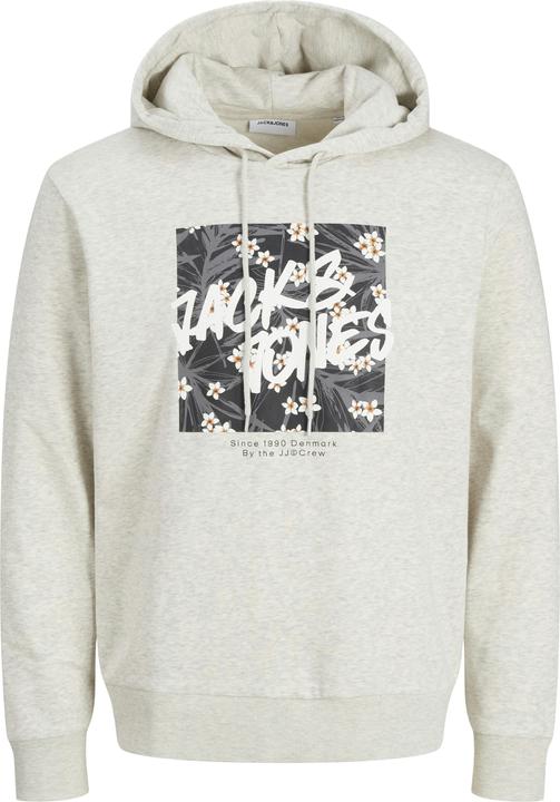 Actual product image Jack & Jones Logo hooded jumper Hooded jumper (XS)