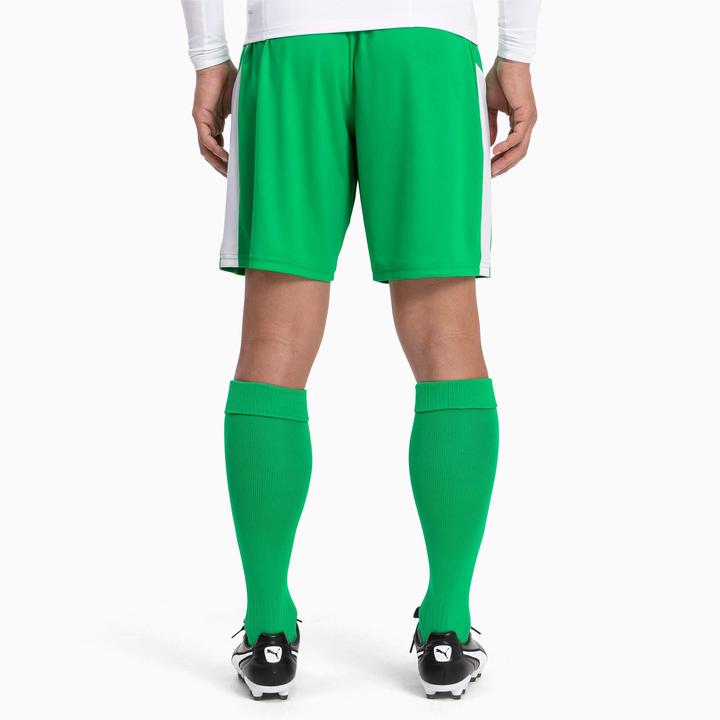 Actual product image Puma Team LIGA Socks CORE-703441 (39, 42)
