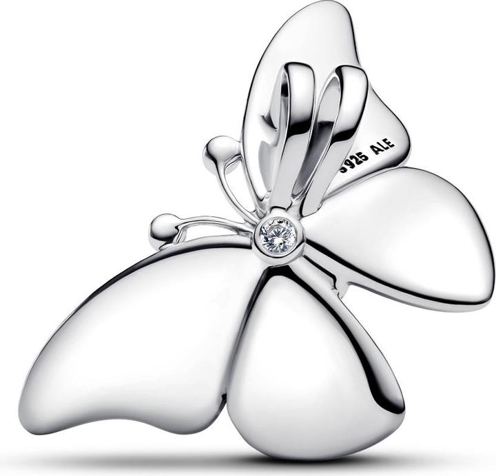 Actual product image Pandora Charm (Silver 925)