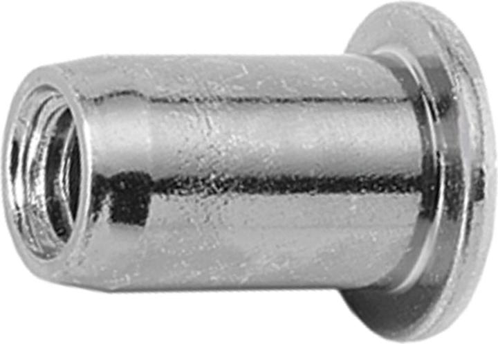 Immagine prodotto Werkstarck Dadi a rivetto testa piatta BN 1971 TUBTARA®