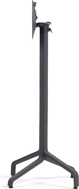 Antracite