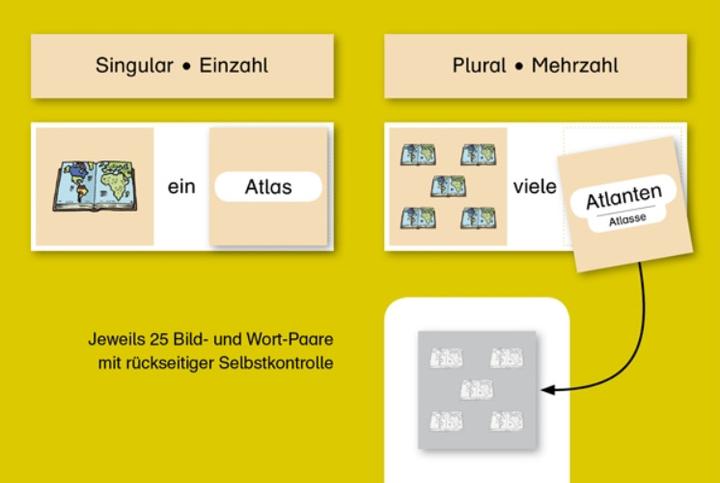 Immagine prodotto Meine Grammatikdose 1 und 2 - Singular-Plural - Einfache und schwierige Wörter (Tedesco, Katrin Langhans, sternchenverlag GmbH, 2022)