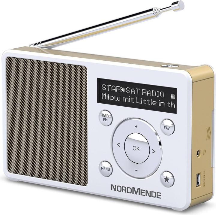Actual product image Nordmende Transita 100 (DAB+, FM)