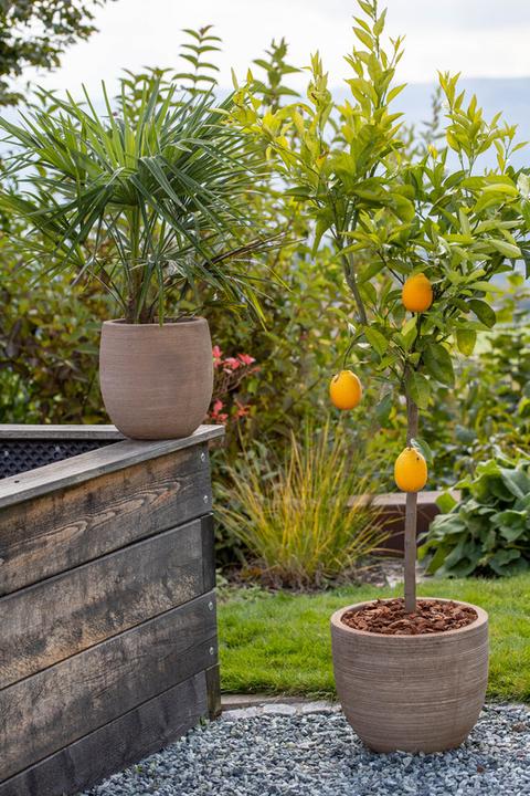 Actual product image Jaco Terracotta Como (36 cm)