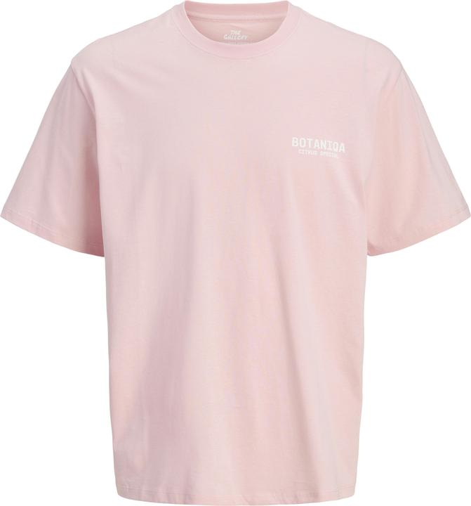 Jack & Jones Jorbotaniq Tee Ss Crew Neck Tg Ln (XL)