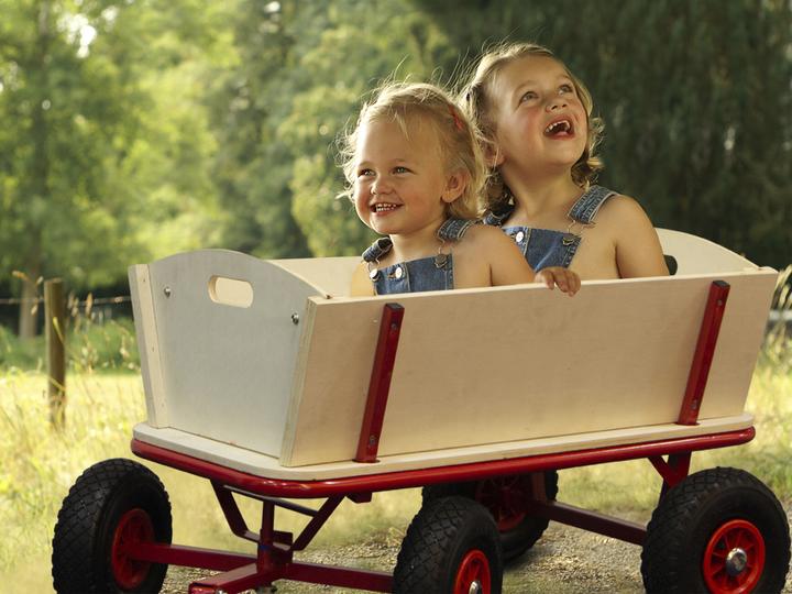 Produktbild Sunny Billy Beach Wagon