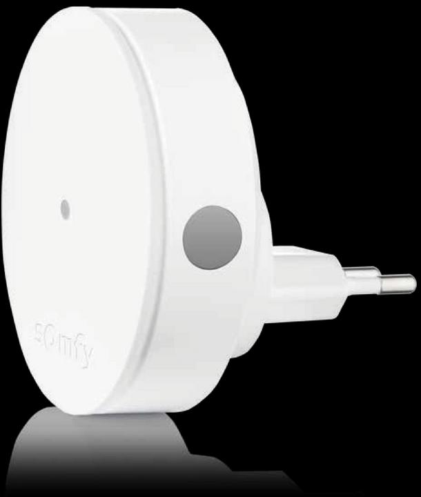 Actual product image somfy Radio amplifier