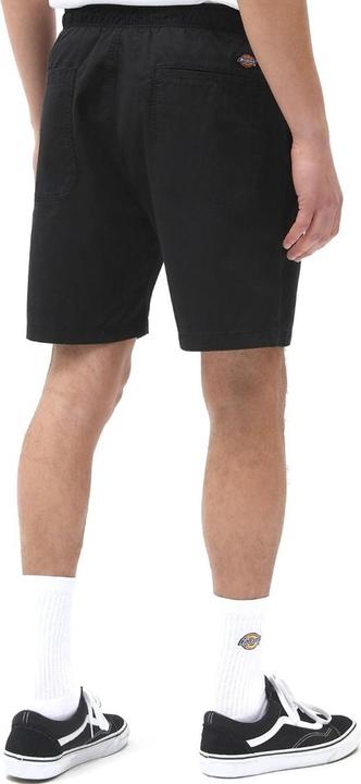 Image du produit Dickies Pelican Rapids Short en tissu - 91859 (XL)