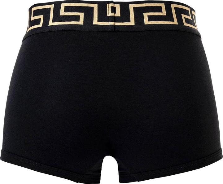 Actual product image Versace Bi-Pack Trunk Jersey Topeka Bi-Stretch Cotton Organic New Logo (M, pack of 2)