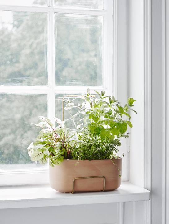 Image du produit Skagerak Herb Carrier (12 cm)