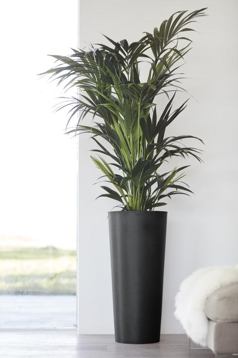 Actual product image Ecopots Amsterdam High (41 cm)