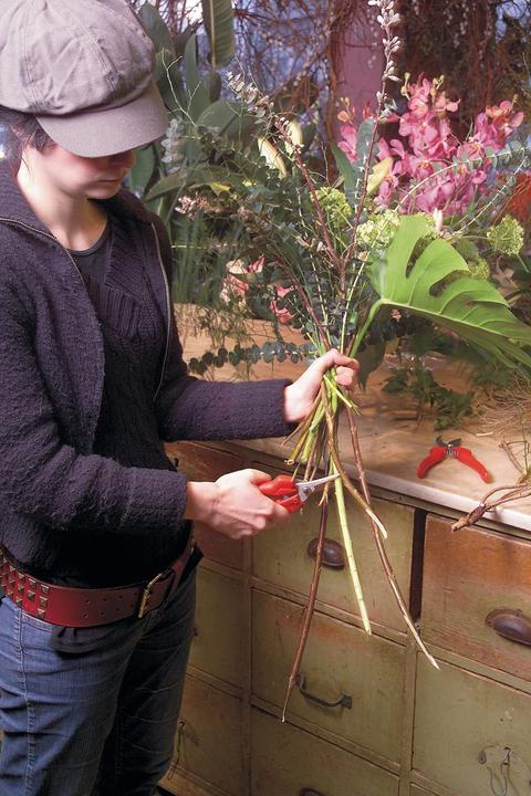 Image du produit Felco ciseaux à fleurs/fruits