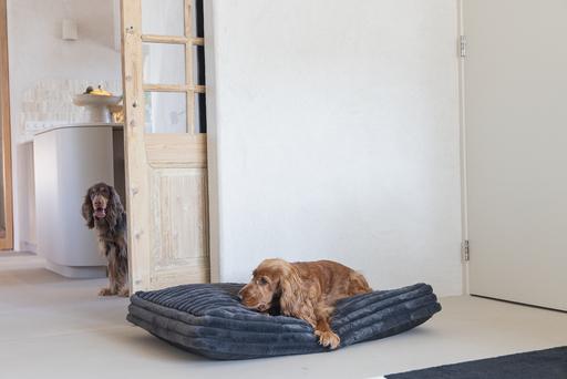 Image du produit Designed by Lotte Coussin de repos Reza (Chien)