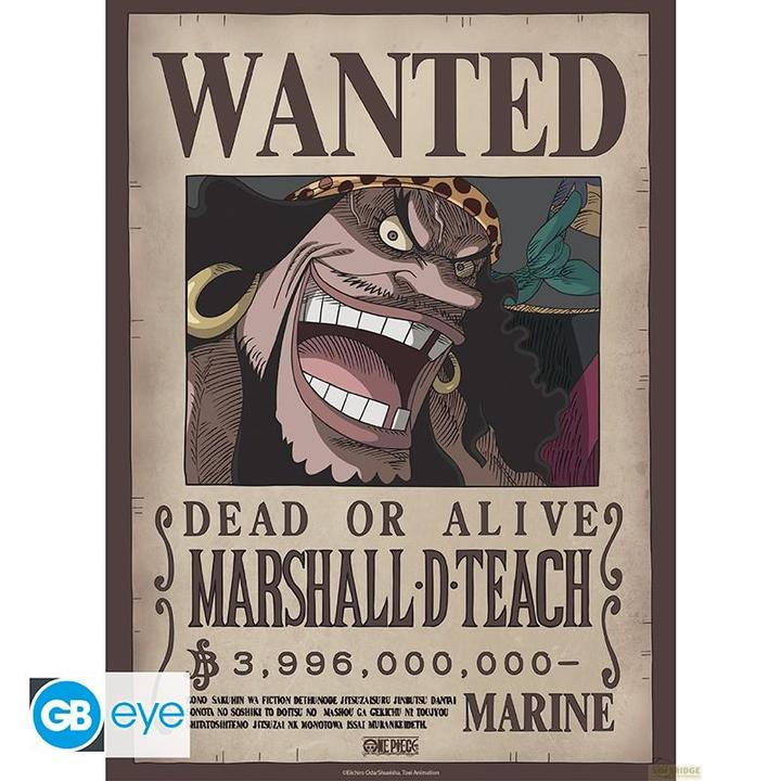 Immagine prodotto ABYstyle One Piece - Cercasi gambiere e insegnante (52 x 38 cm)