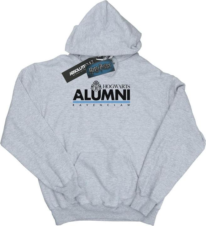 Produktbild Hogwarts Alumni Ravenclaw Kapuzenpullover (XL)