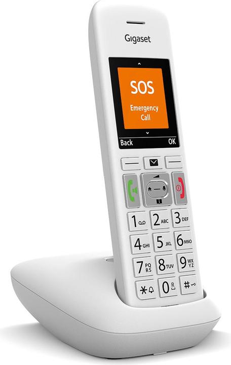 Image du produit Gigaset E390