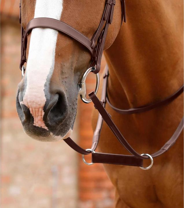 Immagine prodotto Premier Equine Esperia Irish