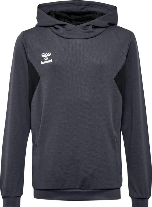 hummel Hmlauthentic Pl Hoodie Kids