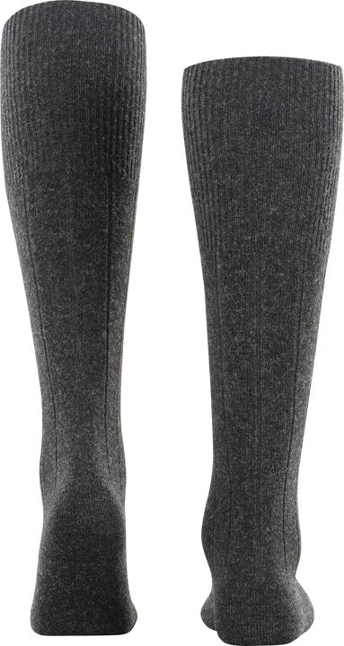 Actual product image Falke Lhasa Rib Men (39 - 42)