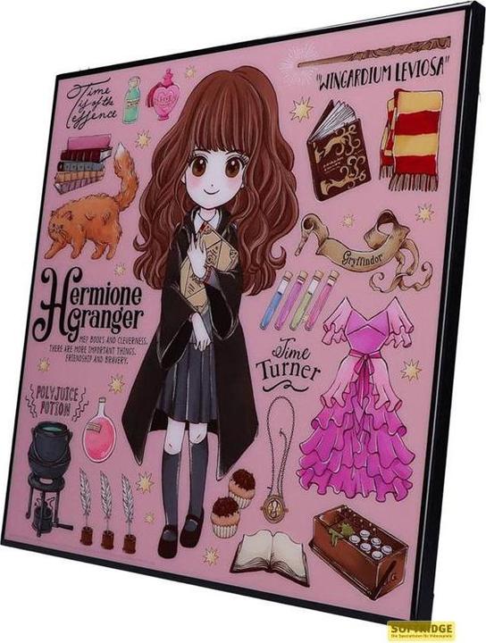 Image du produit Nemesis Now Harry Potter - Hermione Granger Crystal Clear Picture (32 x 32 cm)