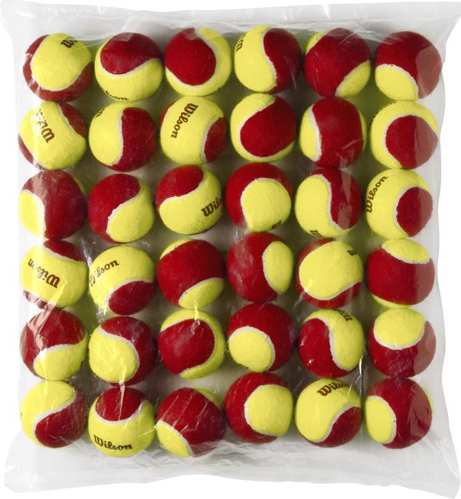 Actual product image Wilson Starter Red Tball 36 Pack