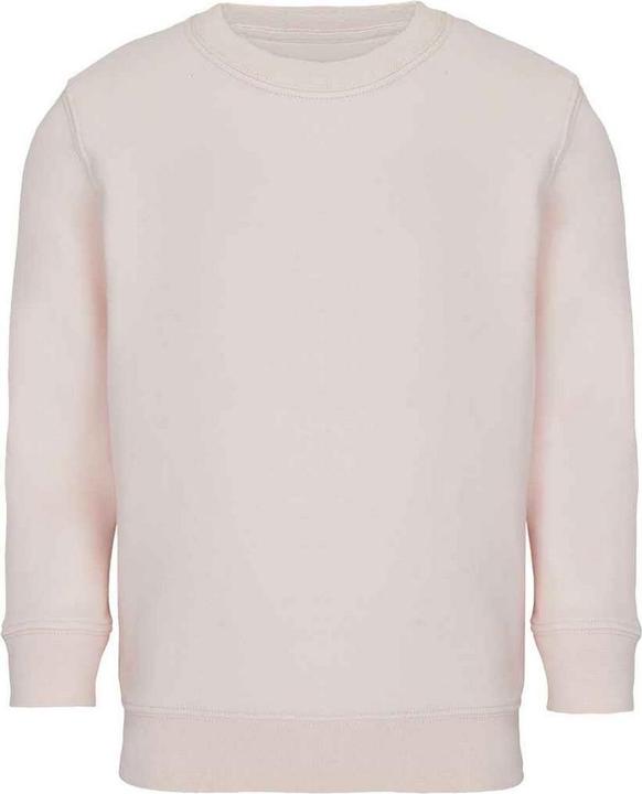 Actual product image Sols Childrens/Kids Columbia Sweatshirt (152)