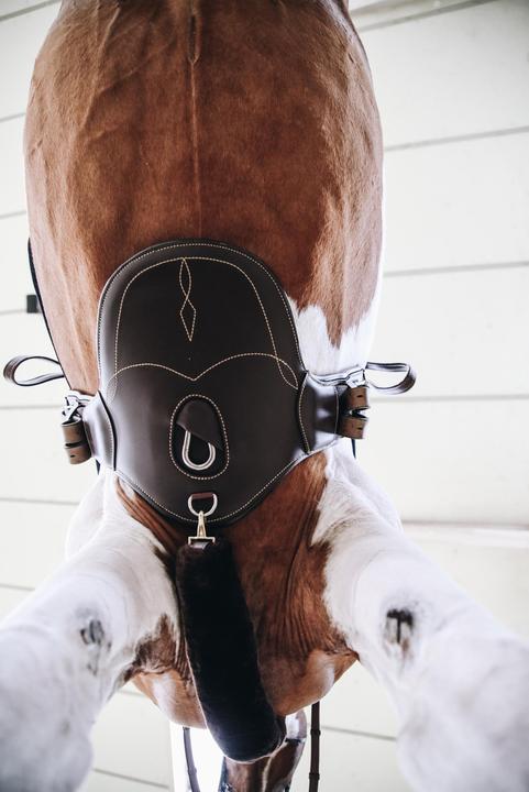 Image du produit Kentucky Horsewear Sangle bavette d'équitation courte
