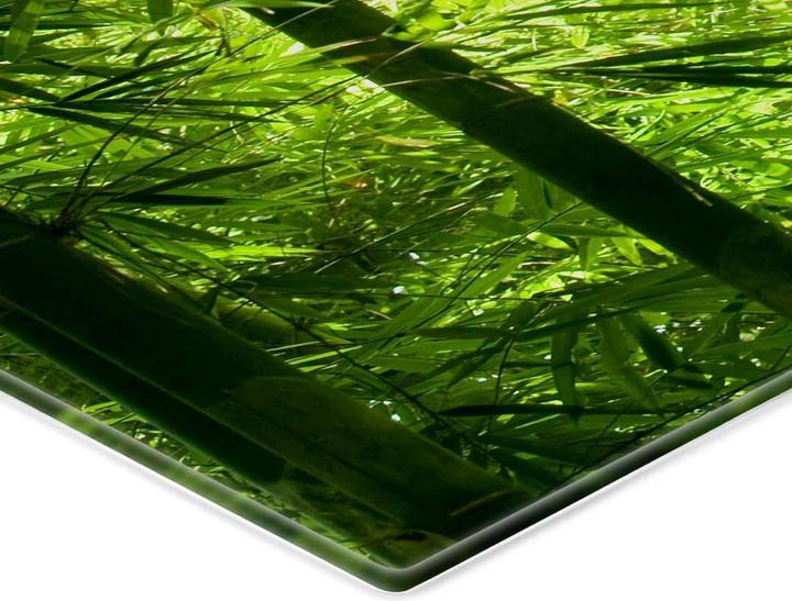 Actual product image Trenddeko Sunshine in the bamboo forest (40 x 60 cm)
