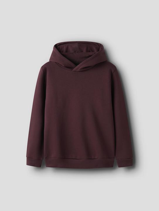 Image du produit Lmtd Loose Fit Hoodie (158)