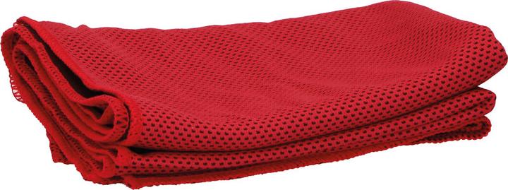 Image du produit Dunlop Serviette rafraîchissante 30x90cm (90 x 30 cm)