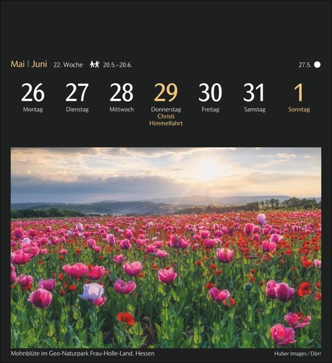 Produktbild Harenberg Deutschlands Natur Postkartenkalender 2025 - Kalender mit 53 Postkarten (Harter Einband, Deutsch)