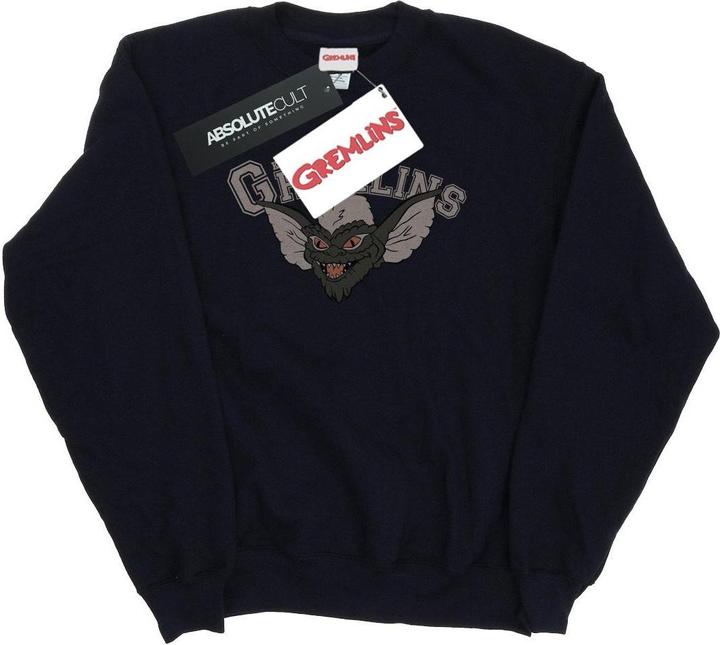 Actual product image Universal Textiles Womens/Ladies Kingston Falls Sport Sweatshirt (XXL)
