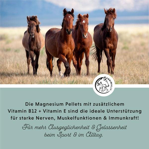 Immagine prodotto Annimally Magnesium Pellets (1000 g)