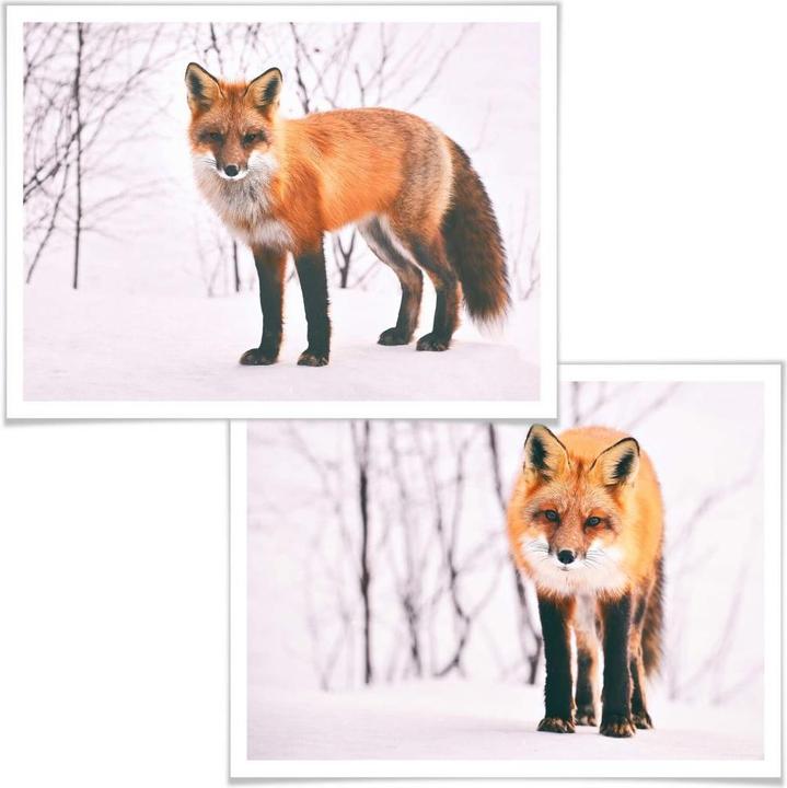 Produktbild Trenddeko Fuchs im Schnee - 2-teilig (80 x 60 cm)