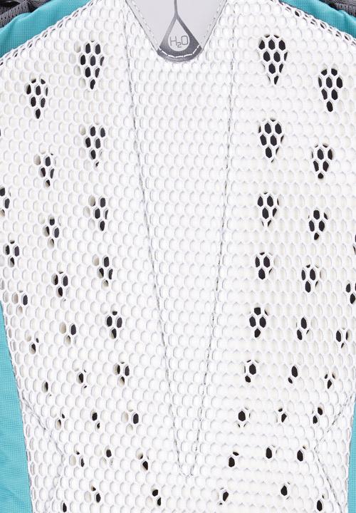 Actual product image Gregory Maya 10 Backpack (10 l)