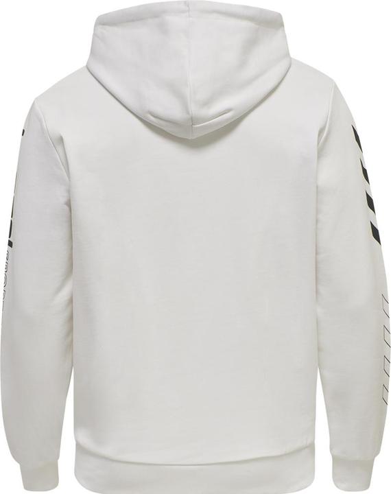 Actual product image hummel Lgc Birk Hoodie (S)