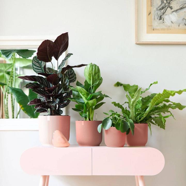 Produktbild Elho Vibes Fold (22 cm)