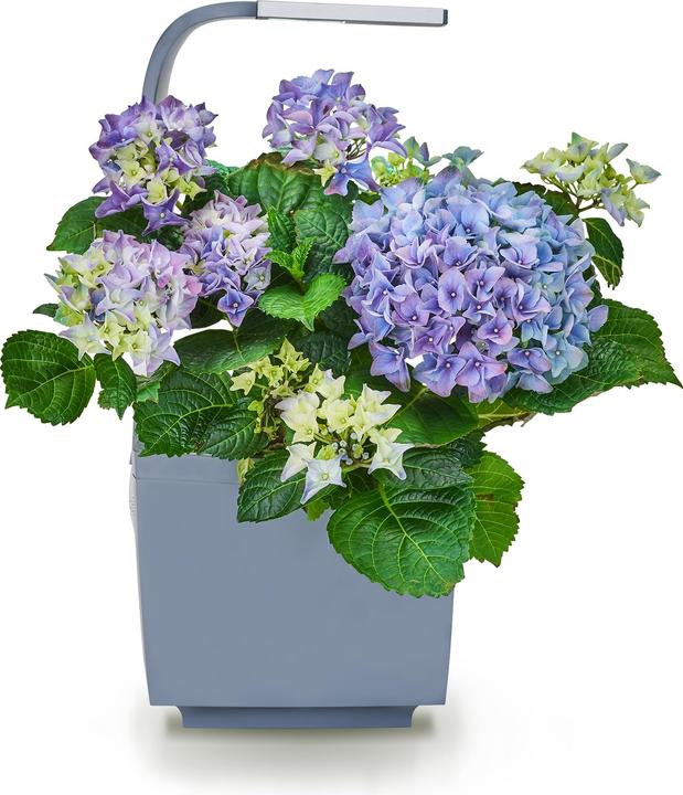 Actual product image Tregren Herb pot T3 (19.50 cm)
