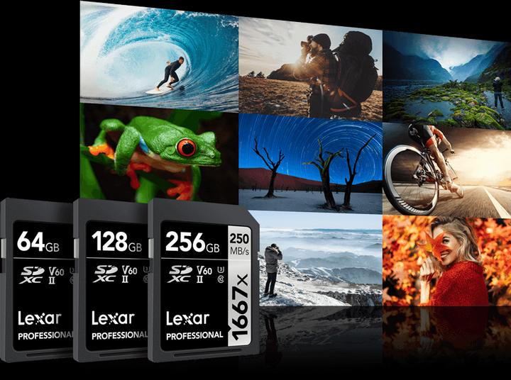 Actual product image Lexar Professional 1667x (64 GB, SDXC, U3, UHS-II)