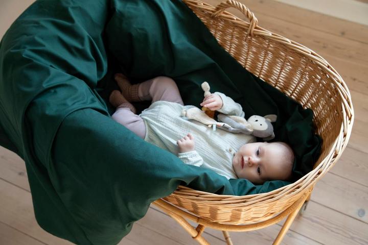Immagine prodotto Sebra Panno per coccole di attività