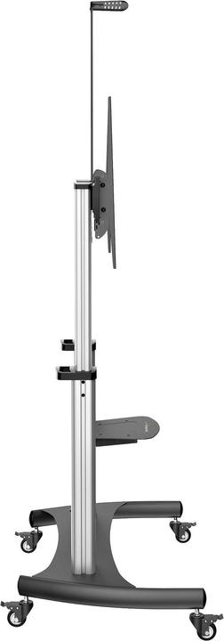 Actual product image StarTech STNDMTV100 TV mount (100 inch) (100", 100 kg)