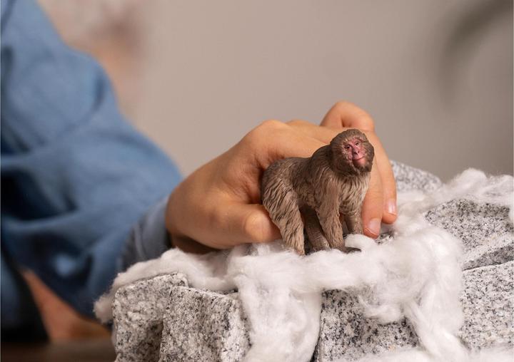 Immagine prodotto Schleich Macaco giapponese