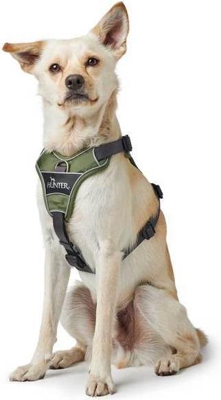 Produktbild Hunter Geschirr Divo (L, Hund, Hundesport)