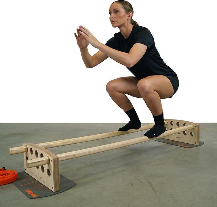 Actual product image Pedalo Balance Trainer Challenger Artist
