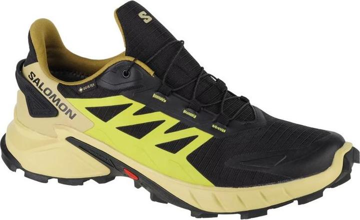 Image du produit Salomon Supercross 4 GTX 417317 46 (46)